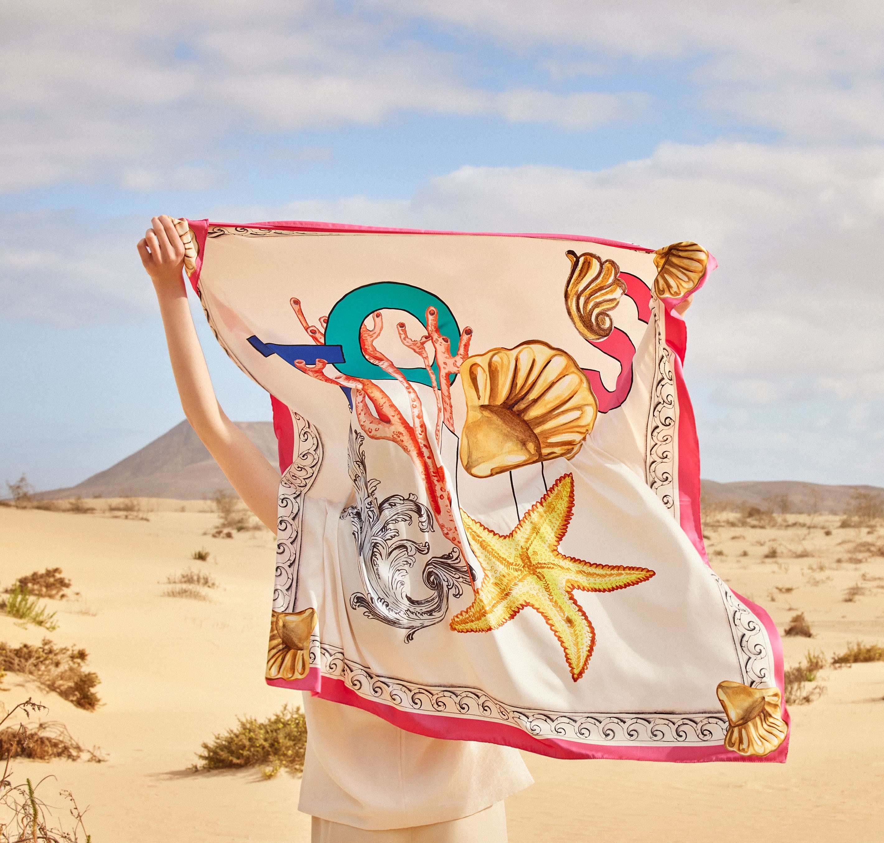 Pañuelos y Foulares