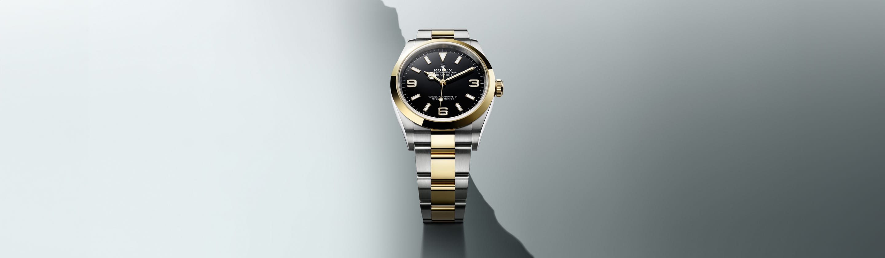 Rolex Explorer watches - Tous Rolex Boutique