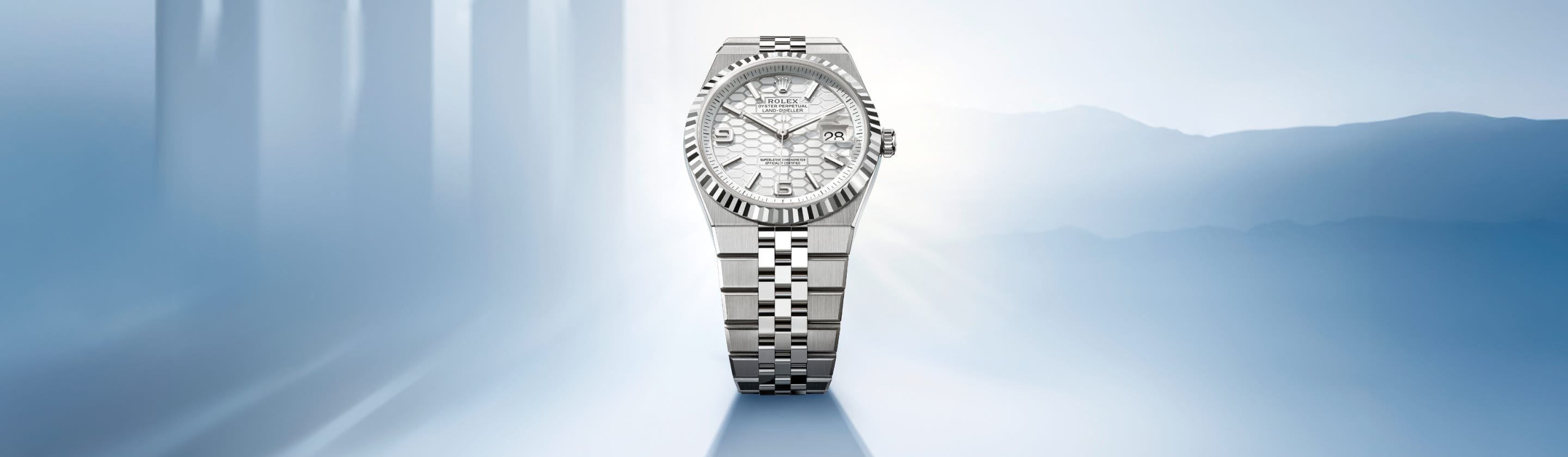 Relojes Rolex Land-Dweller - Tous Rolex Boutique
