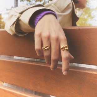 Anillos