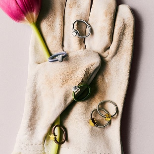 Anillos