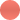 SALM&Oacute;N