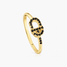 Fine rings