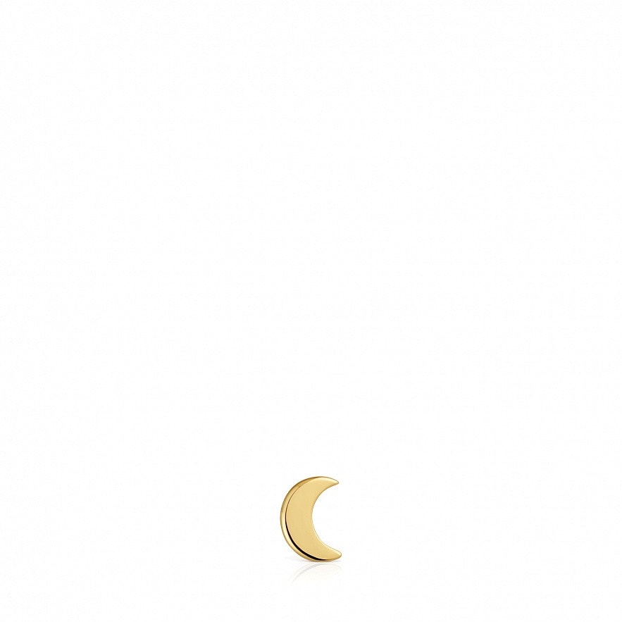 Кулон TOUS 1950 1004242400